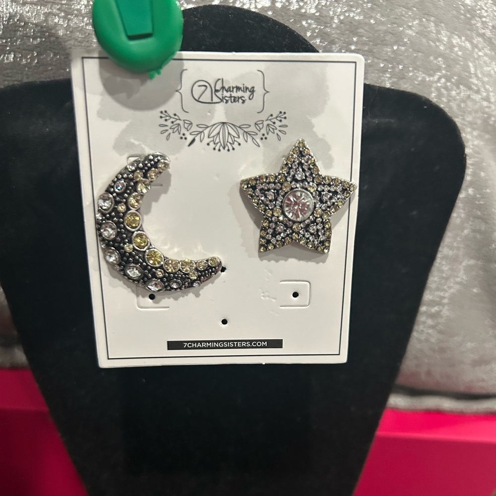 Charming Moon and Star Pierced Earrings